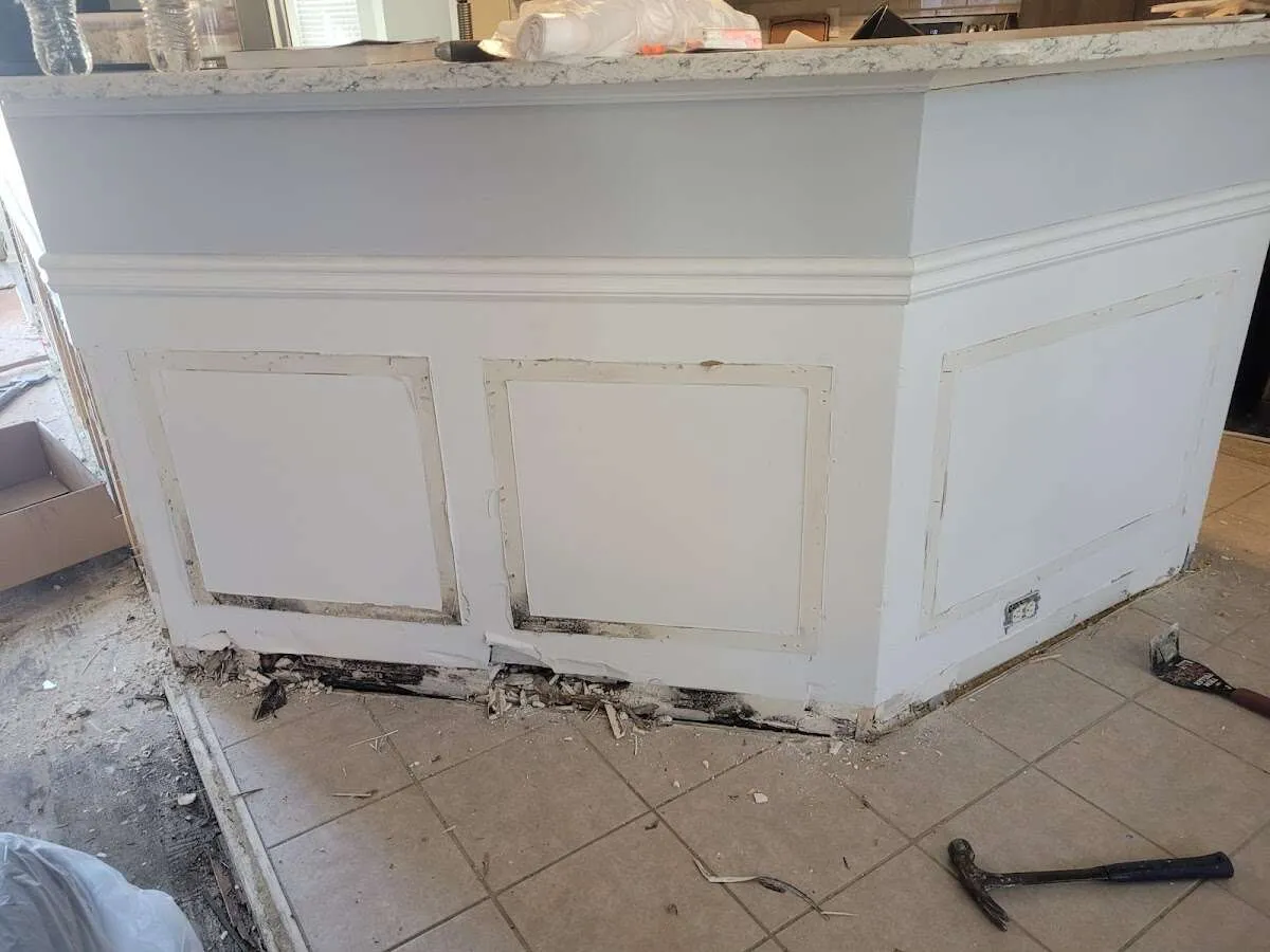 Water damage and mold on kitchen during Mold Inspection & Testing in Leicester